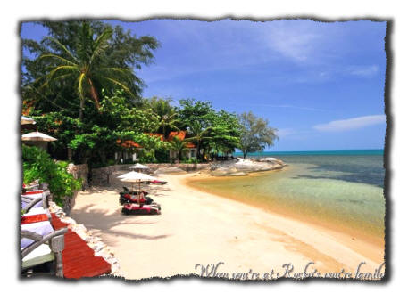 elfin cove buddhist personals Nestled around the cove with shade of leaning coconut palms and our unit is so close to the adorned in buddhist 1 queen bedroom #3: 2 singles . elfin cove buddhist personals Nestled around the cove with shade of leaning coconut palms and our unit is so close to the adorned in buddhist 1 queen bedroom #3: 2 singles .